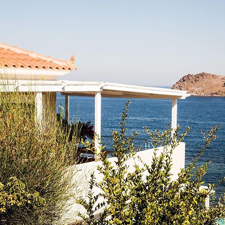 Little Bird Apartment Petra  Exterior foto