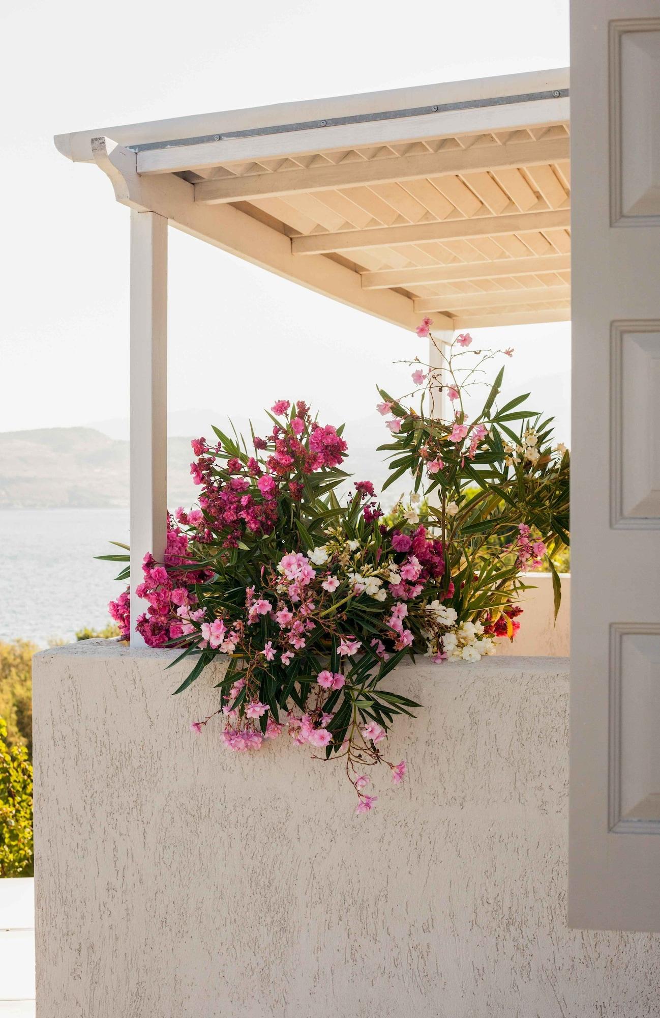 Little Bird Apartment Petra  Exterior foto