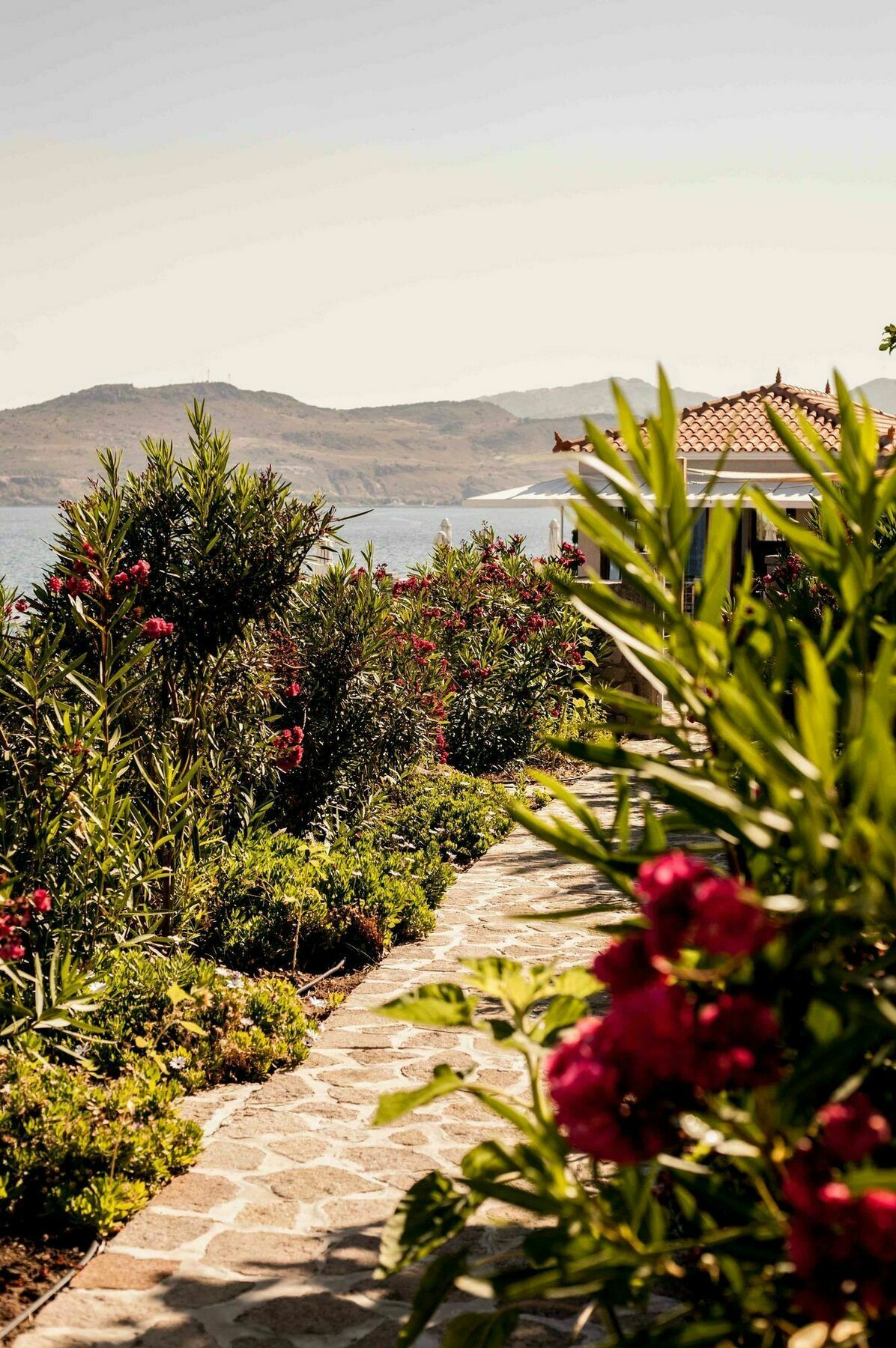 Little Bird Apartment Petra  Exterior foto